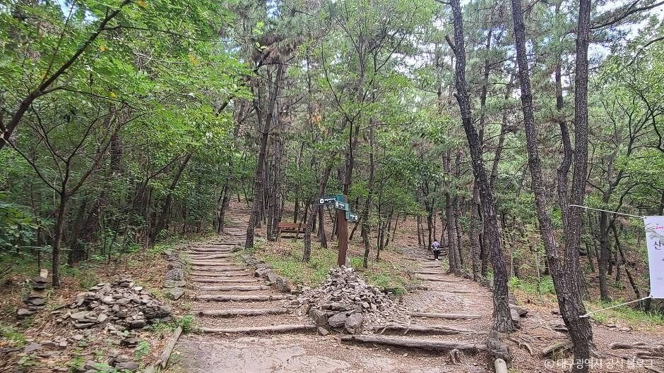 와룡산(대구) 여행 추천 - 로드트립