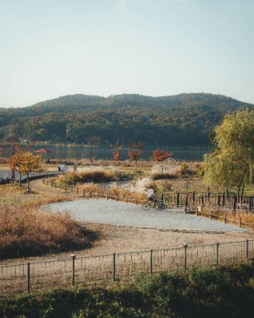용인 8경 여행 추천 - 로드트립