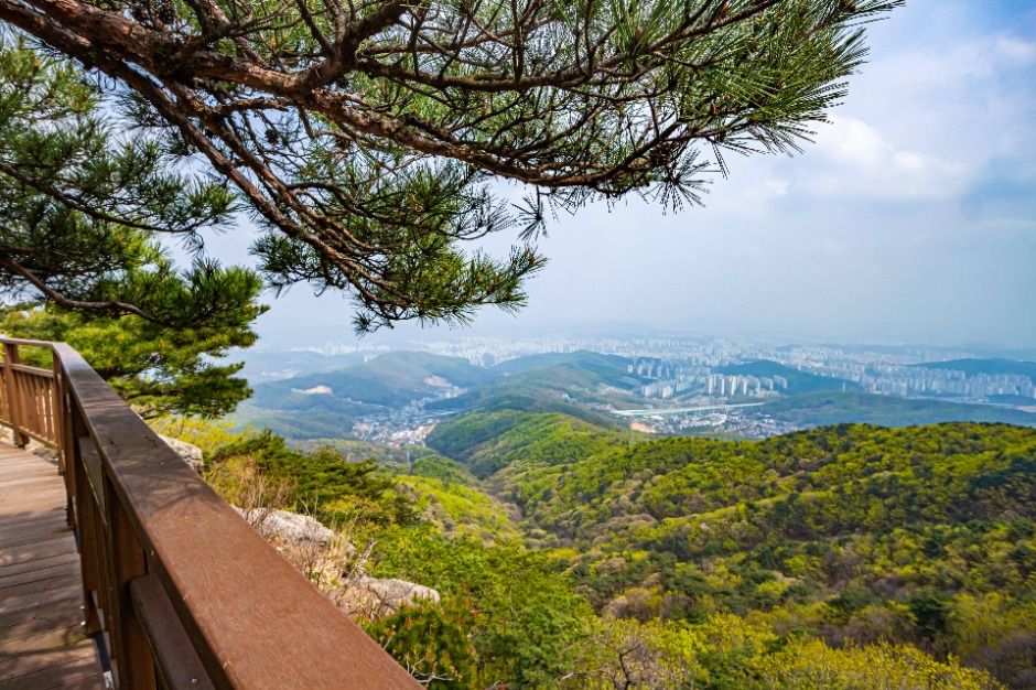 용인 8경 여행 추천 - 로드트립