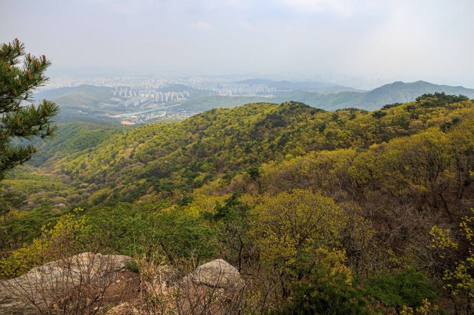 용인 8경 여행 추천 - 로드트립