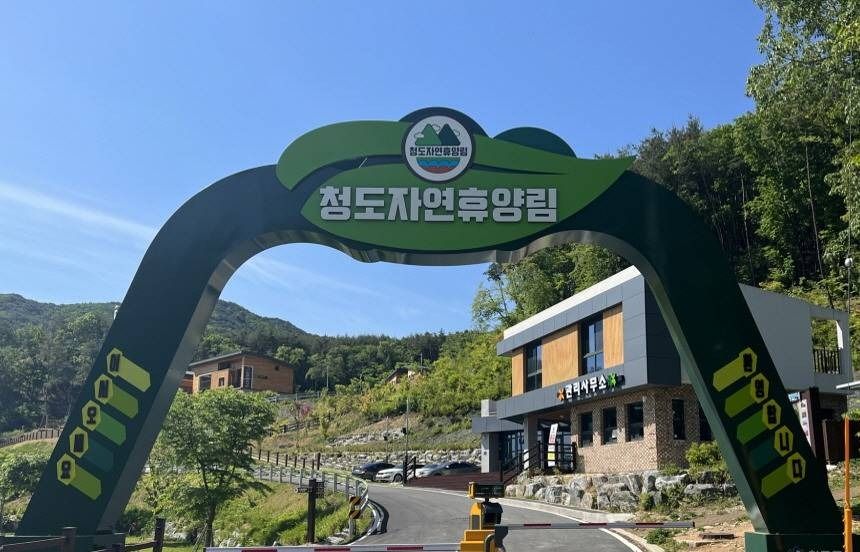 청도자연휴양림 여행 추천 - 로드트립