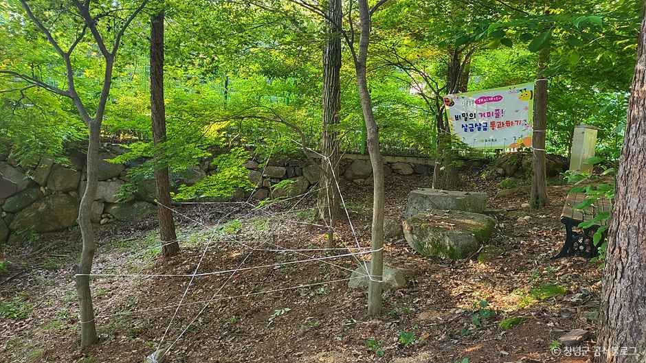 화왕산자연휴양림 여행 추천 - 로드트립