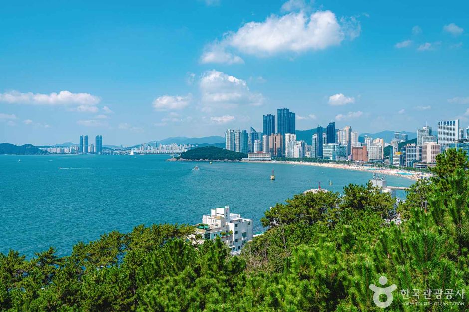 해운대 달맞이길 여행 추천 - 로드트립