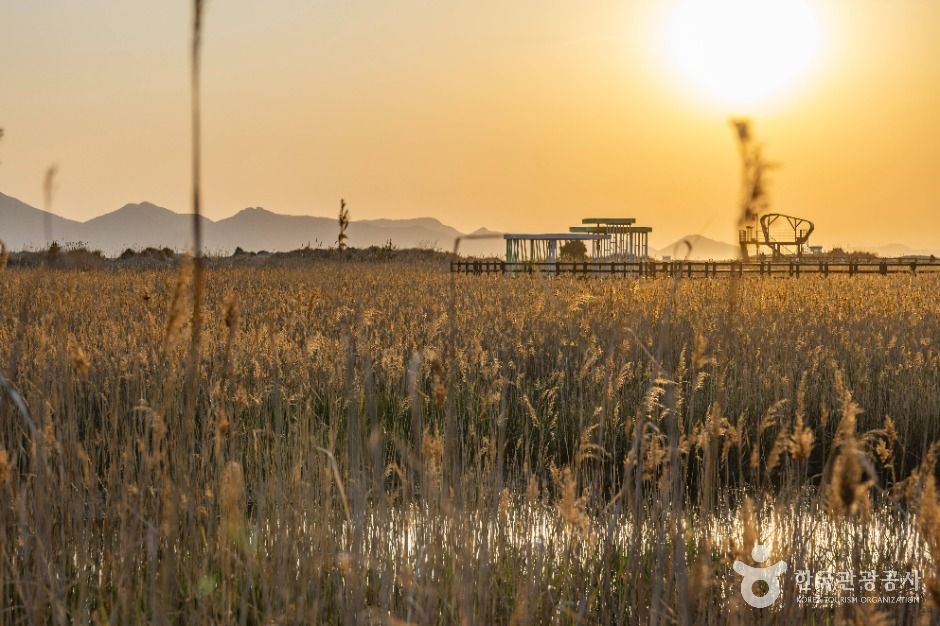 다대포해수욕장 여행 추천 - 로드트립