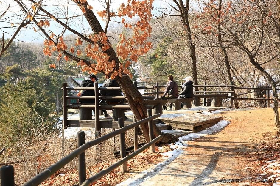 [북한산 둘레길 2구간] 순례길 여행 추천 - 로드트립