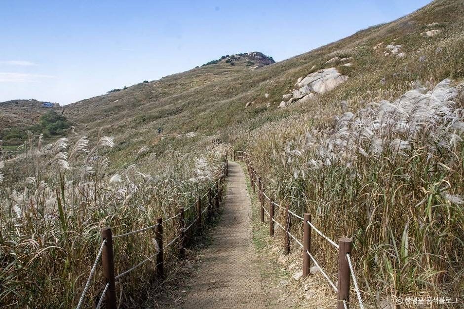 화왕산군립공원 여행 추천 - 로드트립