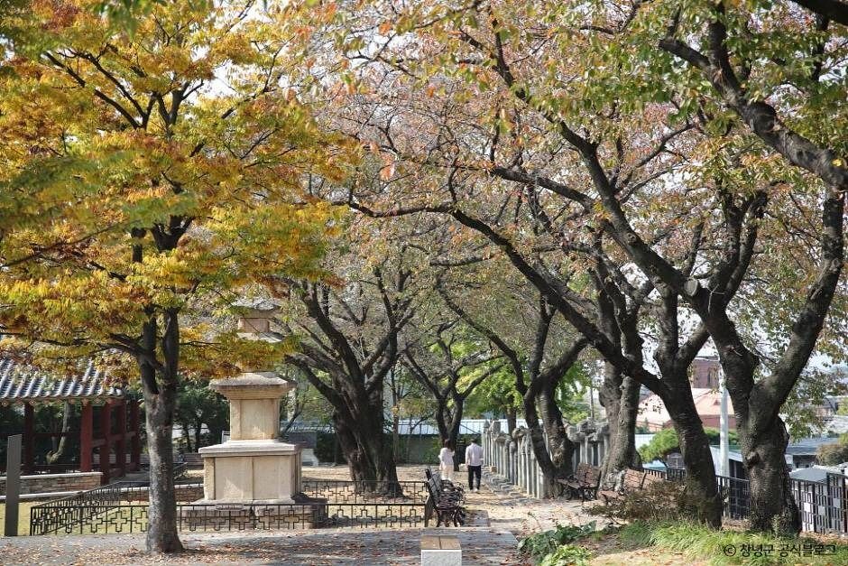 창녕 만옥정공원 여행 추천 - 로드트립