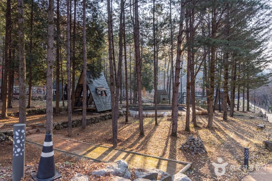 성수산 왕의숲 국민여가캠핑장 여행 추천 - 로드트립