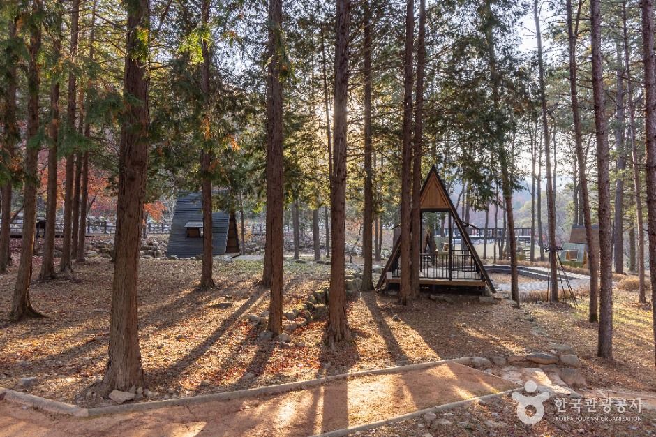 성수산 왕의숲 국민여가캠핑장 여행 추천 - 로드트립