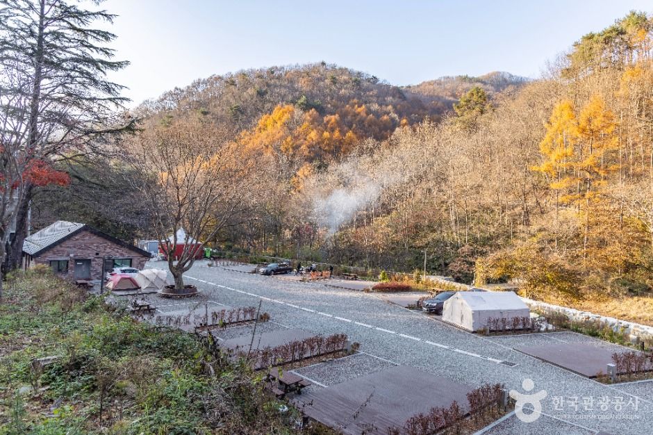 성수산 왕의숲 국민여가캠핑장 여행 추천 - 로드트립