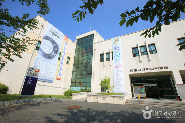충남대학교박물관 여행 추천 - 로드트립