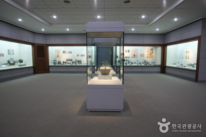 충남대학교박물관 여행 추천 - 로드트립