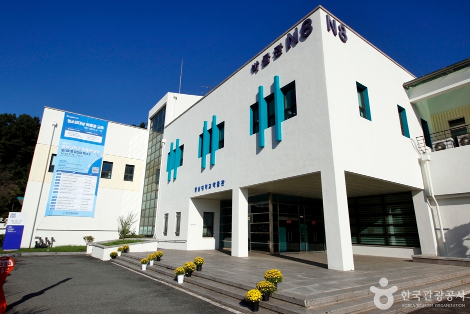 충남대학교박물관 여행 추천 - 로드트립