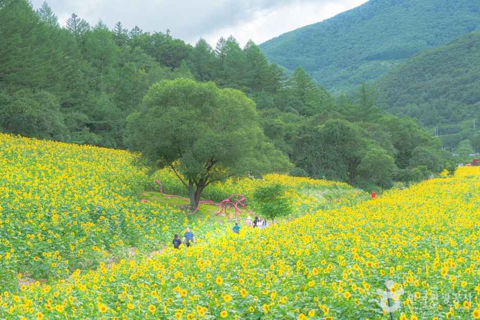 구와우마을 여행 추천 - 로드트립