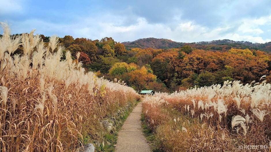 한티 순교성지 여행 추천 - 로드트립