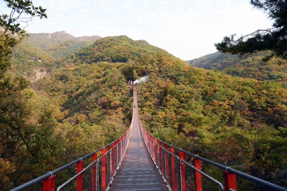 감악산 출렁다리 여행 추천 - 로드트립