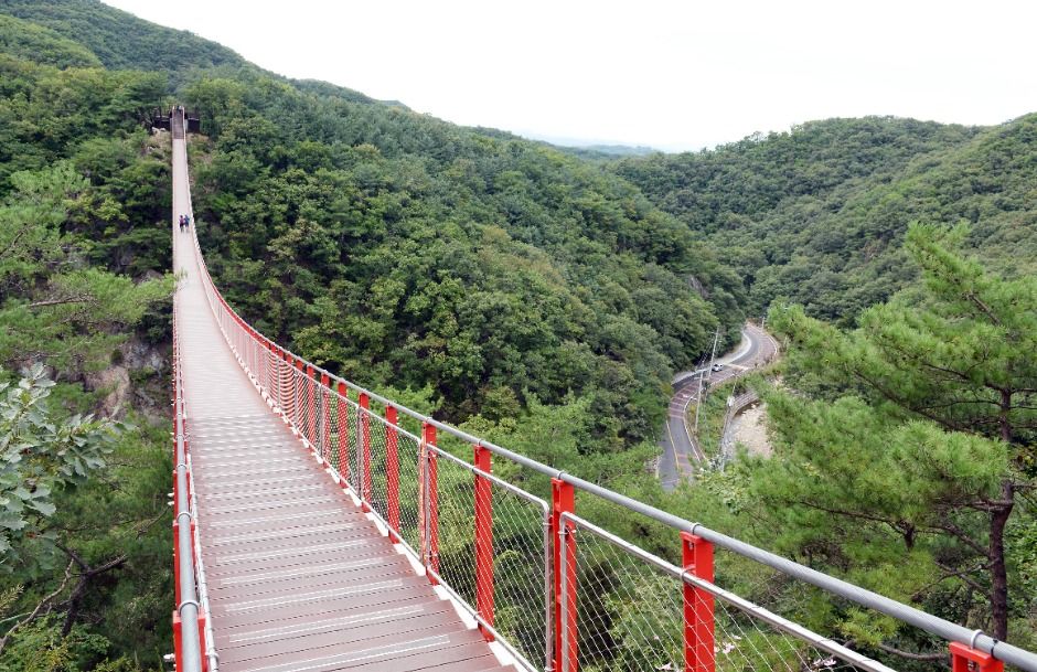 감악산 출렁다리 여행 추천 - 로드트립