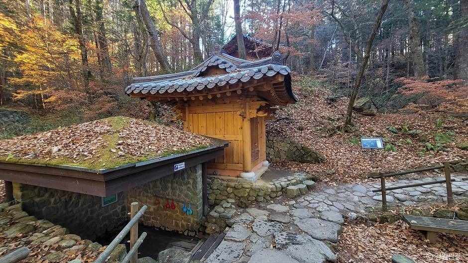 밀브릿지 여행 추천 - 로드트립
