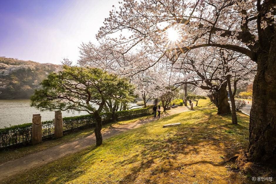 가실벚꽃길 여행 추천 - 로드트립
