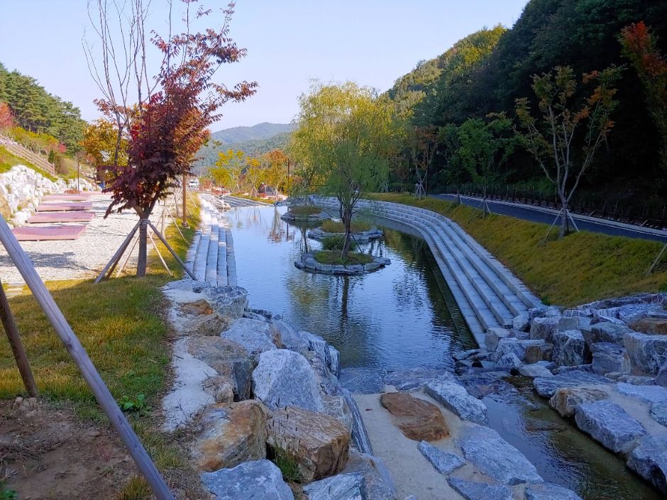 서운산자연휴양림 여행 추천 - 로드트립