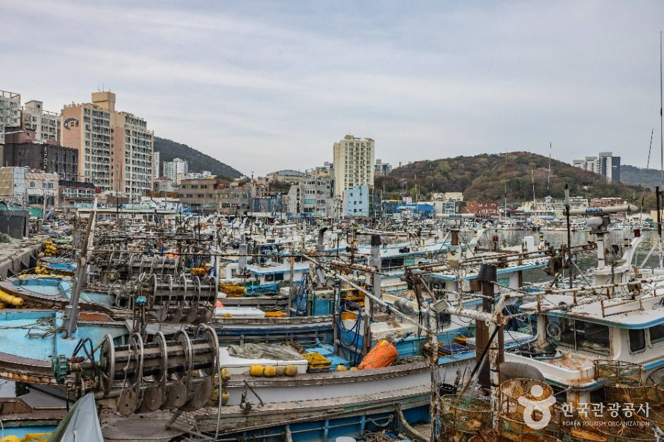 다대포항 여행 추천 - 로드트립