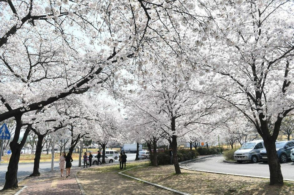 동촌유원지 여행 추천 - 로드트립
