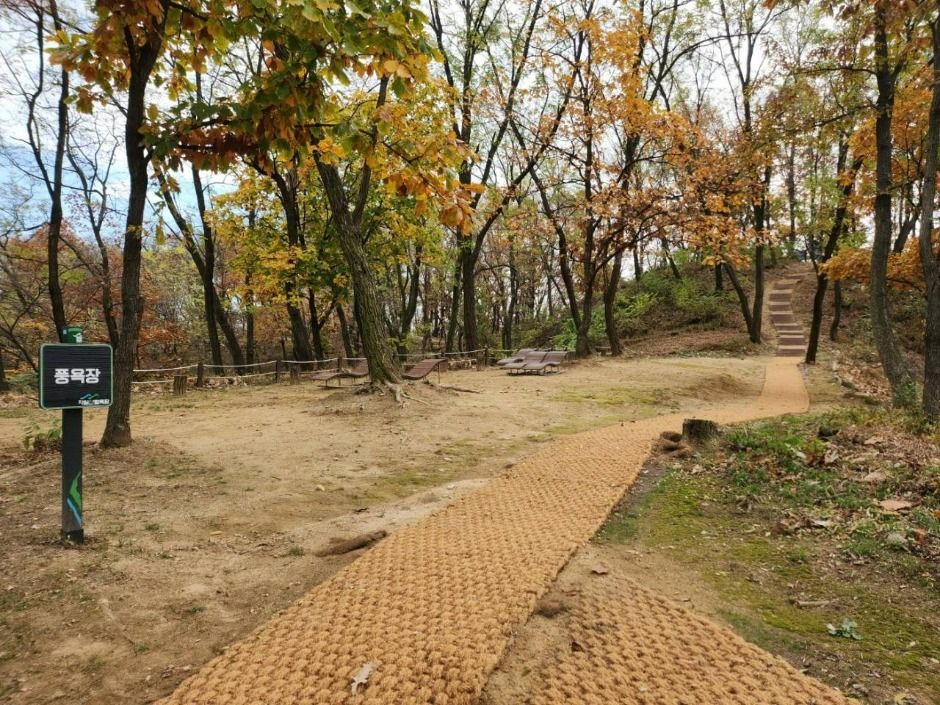 자일산림욕장 여행 추천 - 로드트립