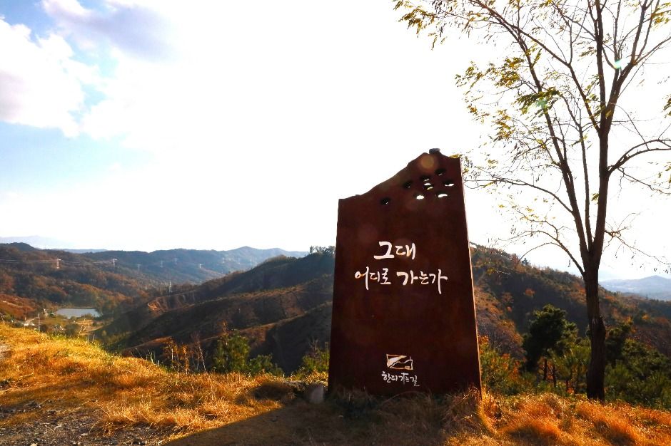한티가는길 여행 추천 - 로드트립