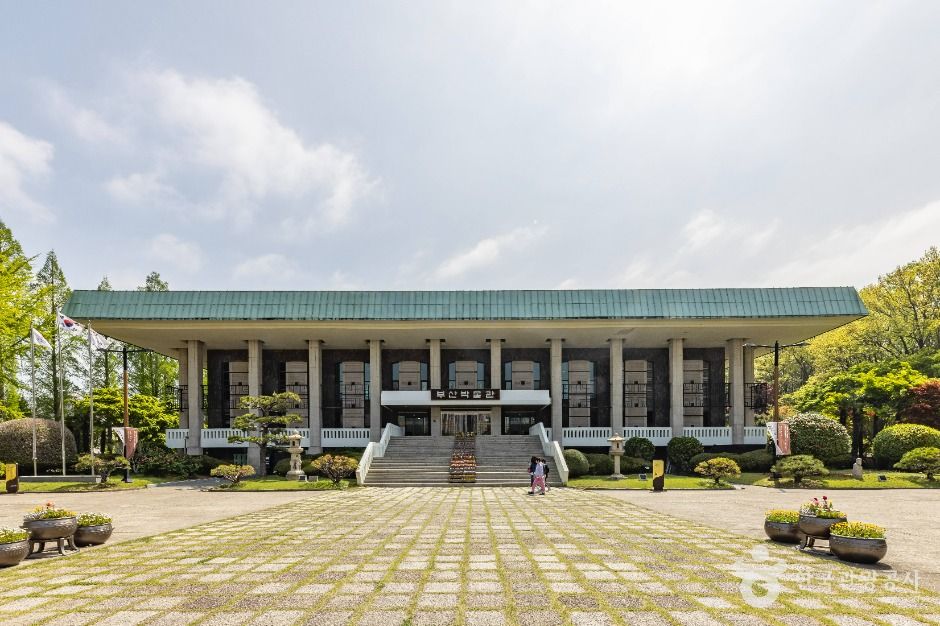 부산박물관 여행 추천 - 로드트립