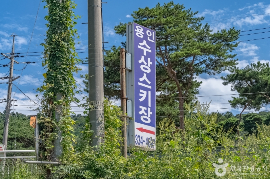 용인수상스키장 여행 추천 - 로드트립