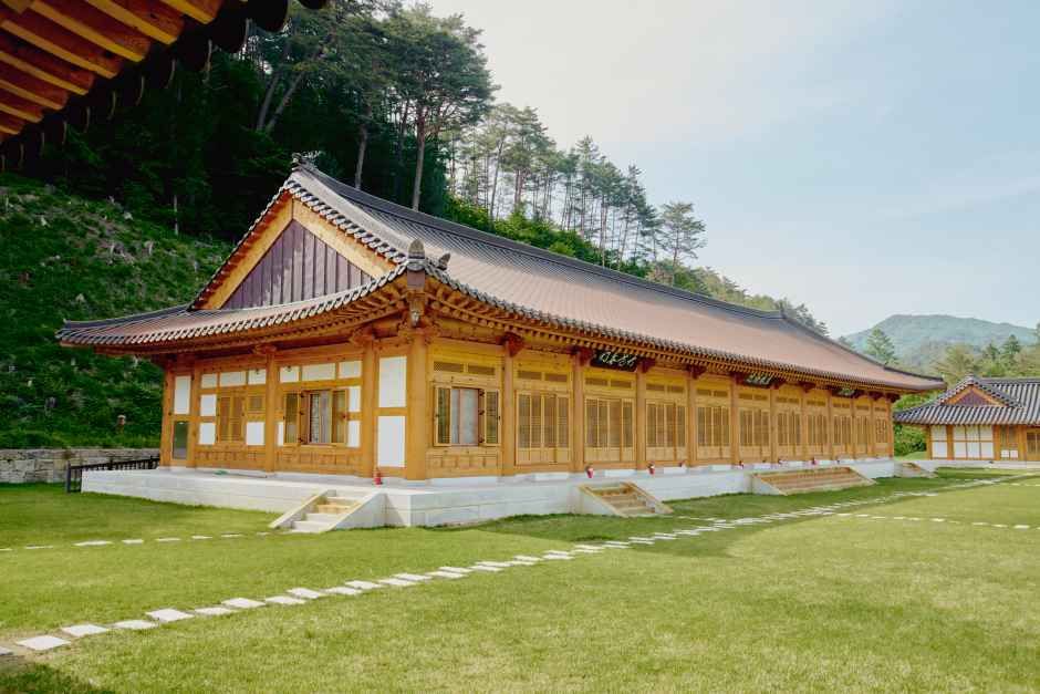 오대산 자연명상마을 옴뷔 여행 추천 - 로드트립