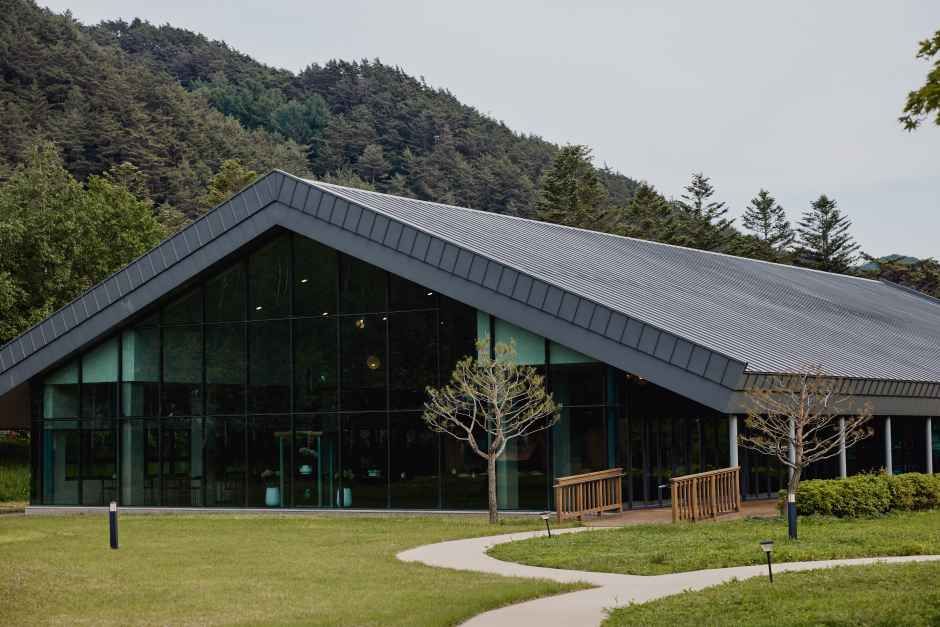 오대산 자연명상마을 옴뷔 여행 추천 - 로드트립
