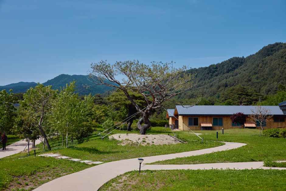 오대산 자연명상마을 옴뷔 여행 추천 - 로드트립