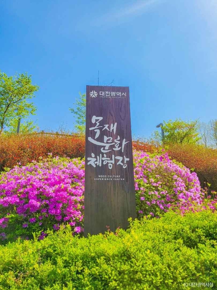 대전목재문화체험장 여행 추천 - 로드트립