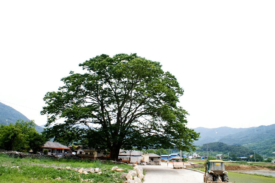 운리마을 여행 추천 - 로드트립