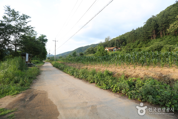 남노일 강변 여행 추천 - 로드트립