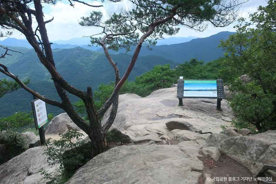칠보산(괴산) 여행 추천 - 로드트립