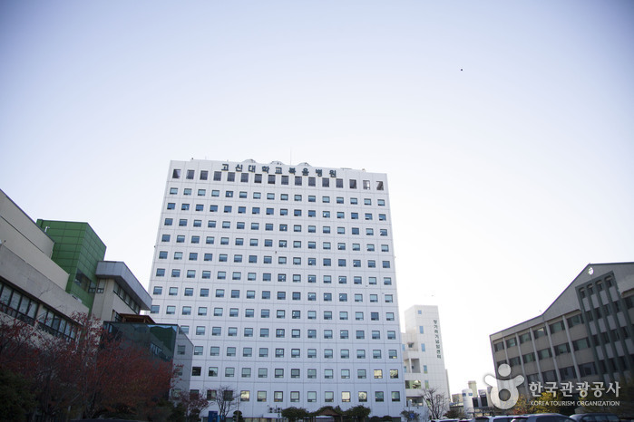 고신대학교복음병원 의학도서관 여행 추천 - 로드트립