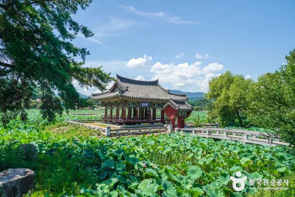 유등연지 여행 추천 - 로드트립