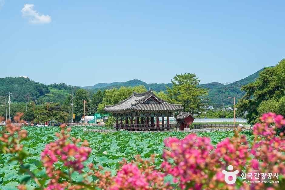 유등연지 여행 추천 - 로드트립
