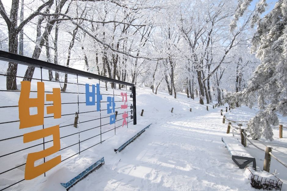 만항재 여행 추천 - 로드트립