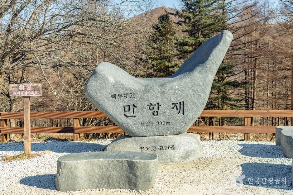 만항재 여행 추천 - 로드트립