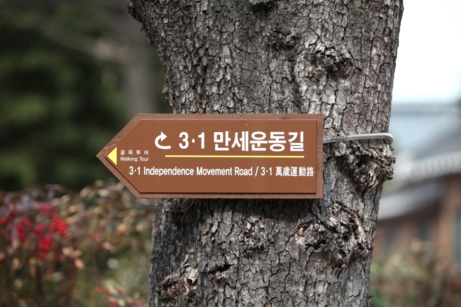 3·1만세운동길 여행 추천 - 로드트립
