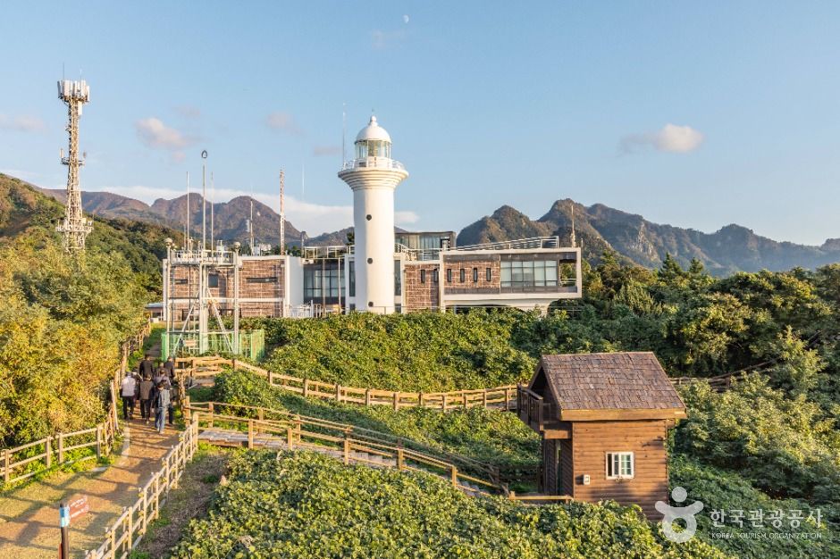울릉도등대(태하등대) 여행 추천 - 로드트립