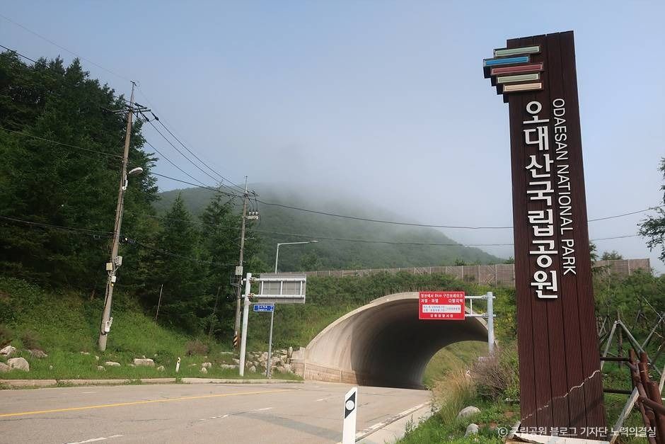 오대산국립공원 여행 추천 - 로드트립