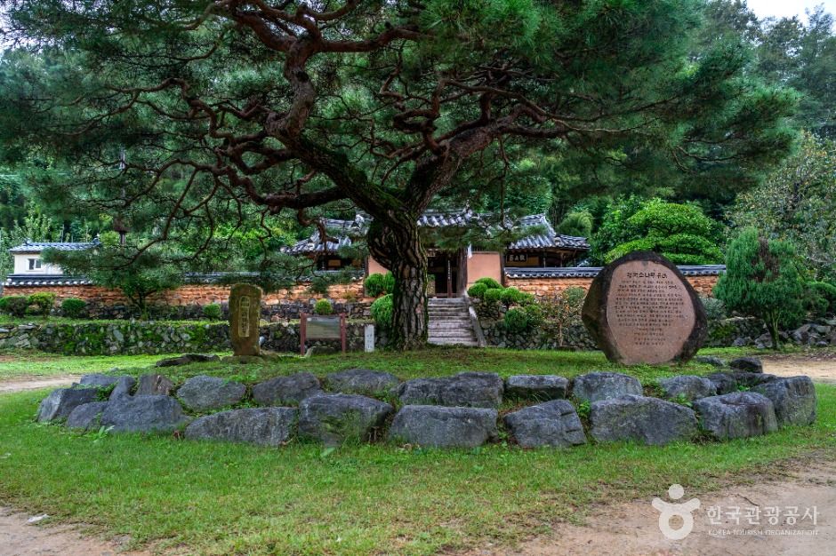 [대구올레 팔공산 4코스] 평광동 왕건길 여행 추천 - 로드트립