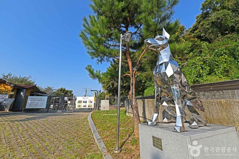 광교호수공원 반려견 놀이터 여행 추천 - 로드트립