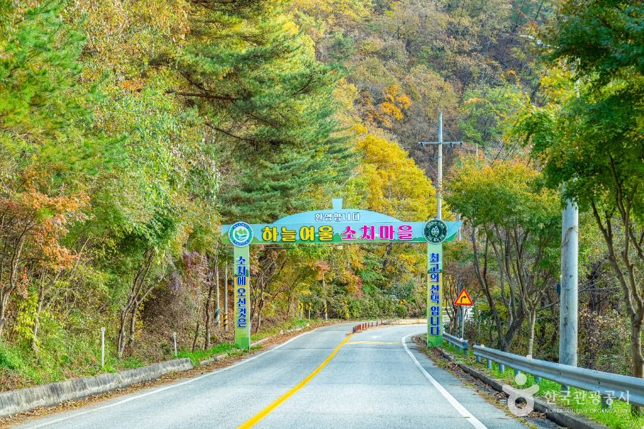 소치길 여행 추천 - 로드트립