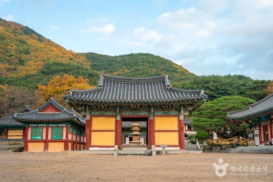 보경사 여행 추천 - 로드트립