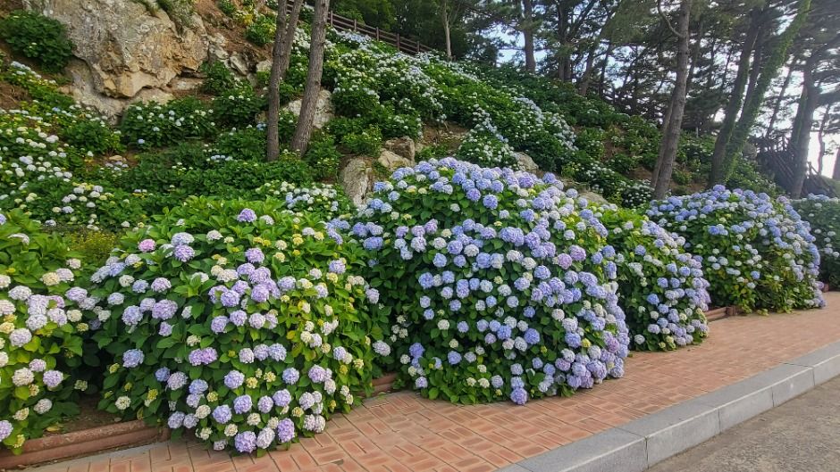 저구마을 여행 추천 - 로드트립